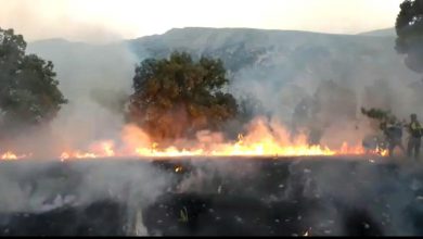 آتش سوزی در جنگل های ایران