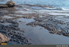 مهار آلودگی نفتی در اروندرود