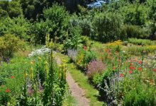 نقش باغداری در مقابله با تغییرات آب‌وهوایی